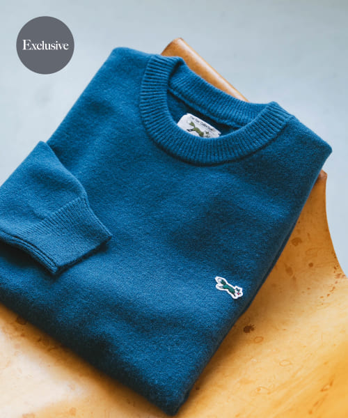 『XLサイズWEB限定』『別注』PENNEYS×DOORS　THE FOX クルーネックスフレニット