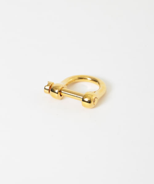 nobu ikeguchi　RING