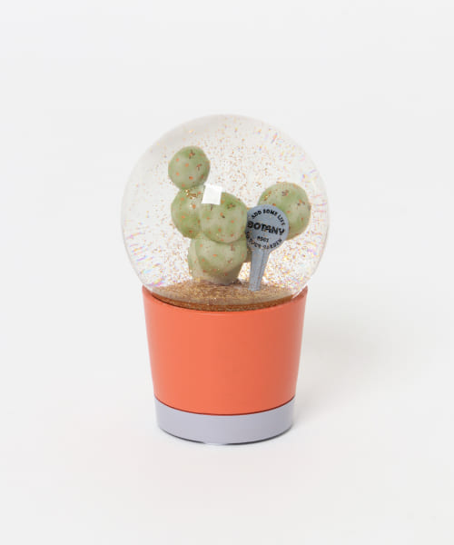 DULTON　Plants water globe