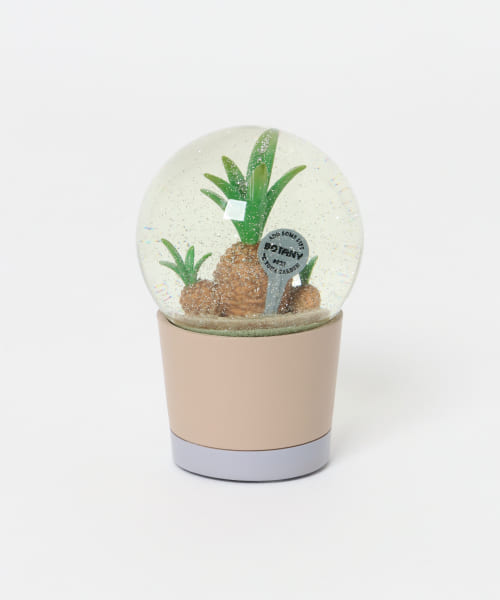 DULTON　Plants water globe