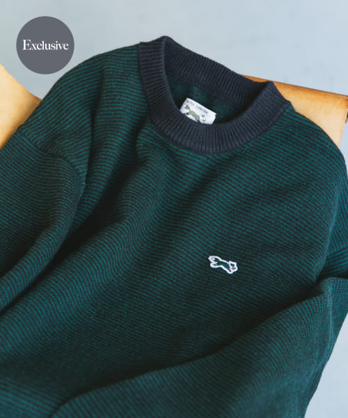 『別注』PENNEYS×DOORS　THE FOX ピンボーダークルーネックニット