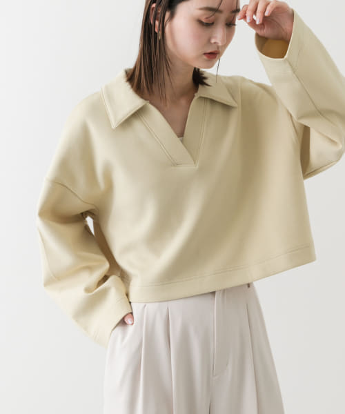 ワイドスリーブエリツキクロップドトップ