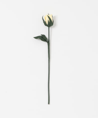BLOMSTER　LOVECOつぼみ