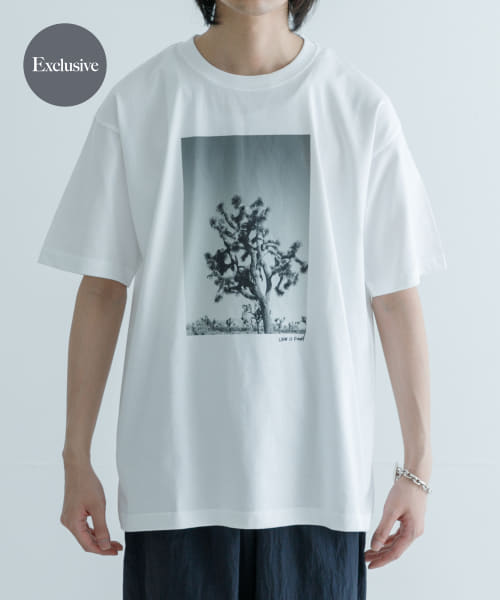 『別注』semoh×URBAN RESEARCH　NINA-1