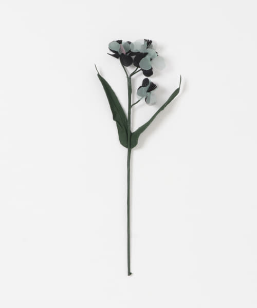 BLOMSTER　LOVECO忘れな草