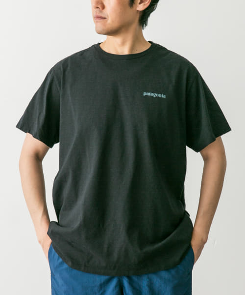 patagonia　Fitz Roy Icon Re-T-shirts