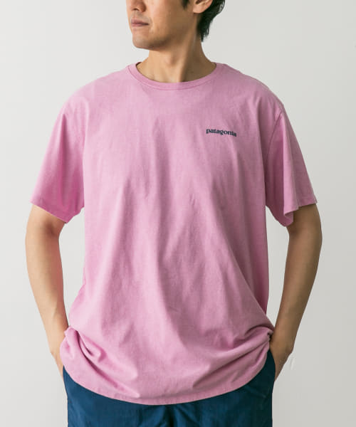 patagonia　Fitz Roy Icon Re-T-shirts