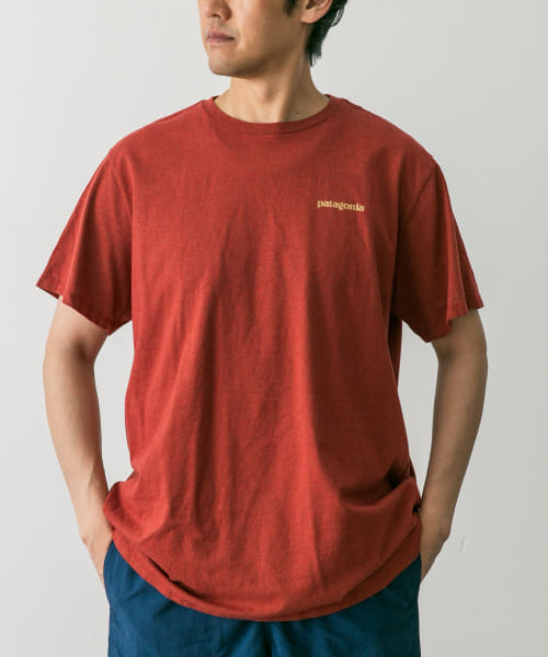 patagonia　Fitz Roy Icon Re-T-shirts