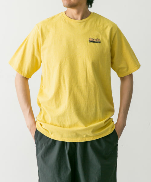 patagonia　Fitz Roy Wild Re-T-Shirts